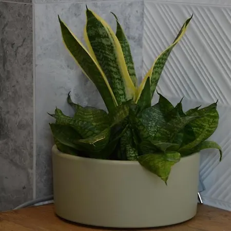 Jaskolki W Pilicach * Jastrzębia Góra